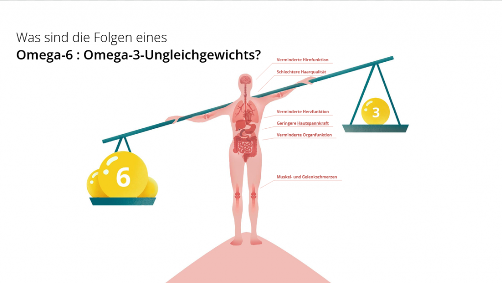 7 Bausteine für eine gesunde Schwangerschaft 5 Balance Omega 6:3, Gesundheit, Zellen